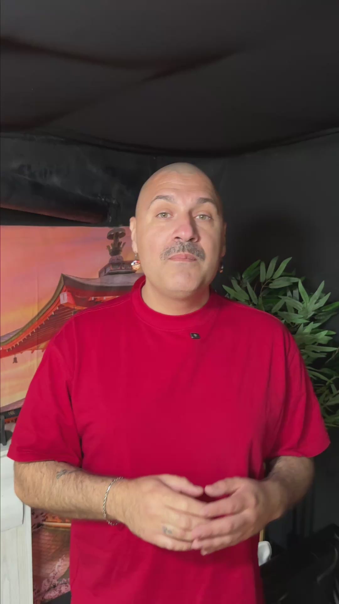 Carica video: 